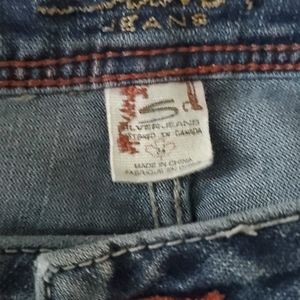 Size 34 Silver Capris